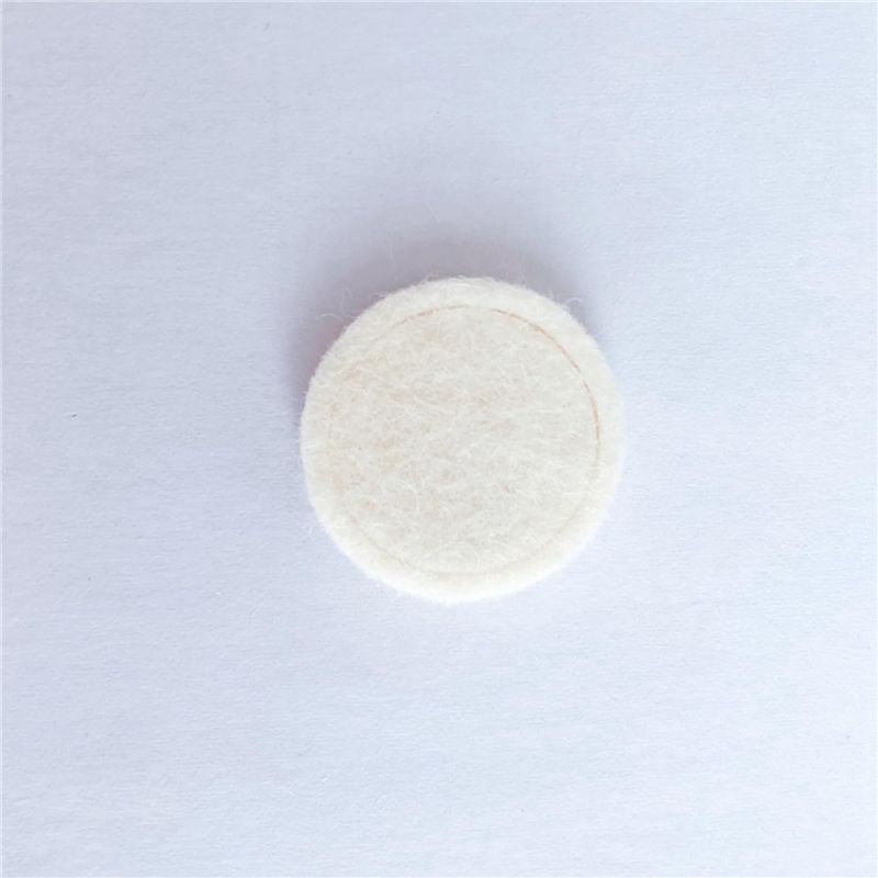 ABBZ-5X Felt Washer For Brevil - đánh giá và giá Breville Espresso Bes870