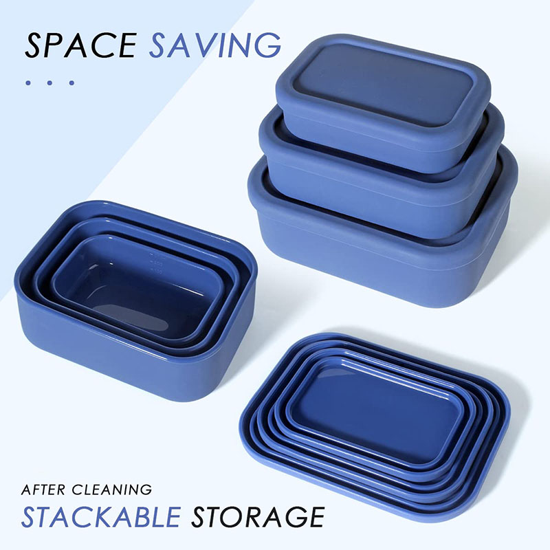 Leak-Resistant Bento Lunch Box - đánh giá và giá Meal Prep Lunch Boxes