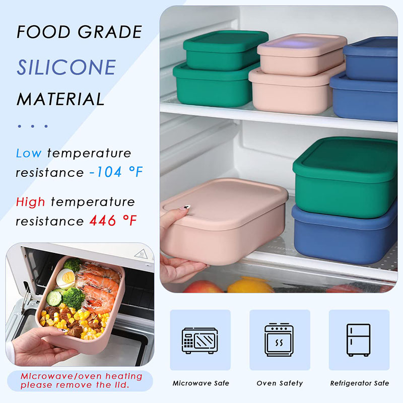 Leak-Resistant Bento Lunch Box - đánh giá và giá Meal Prep Lunch Boxes